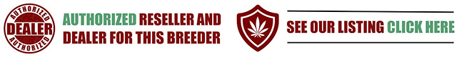 Authorised retailer dealers for Yieldmonger Cannabis Seeds
